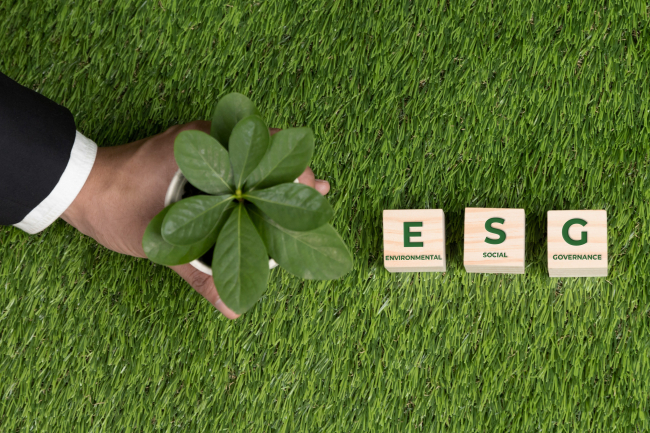 ESG в логистике: от репутационного инструмента к стратегической необходимости