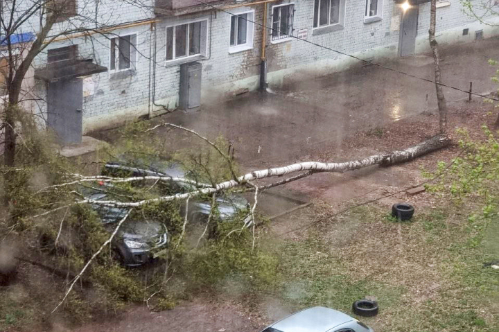В Кирове на улице Пугачева, 3а упало дерево.