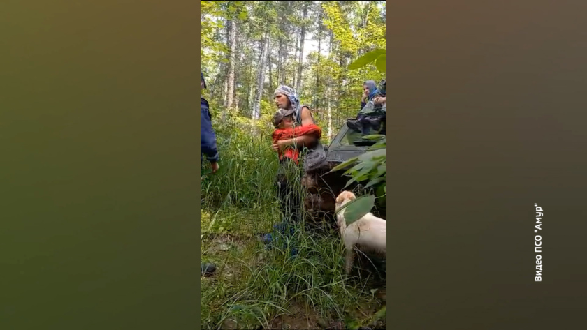 Тайга Амурской области