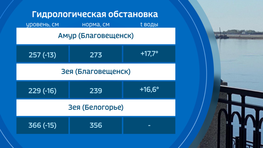 Погода зея на 10 дней точный. Статистика уровней воды Амура.