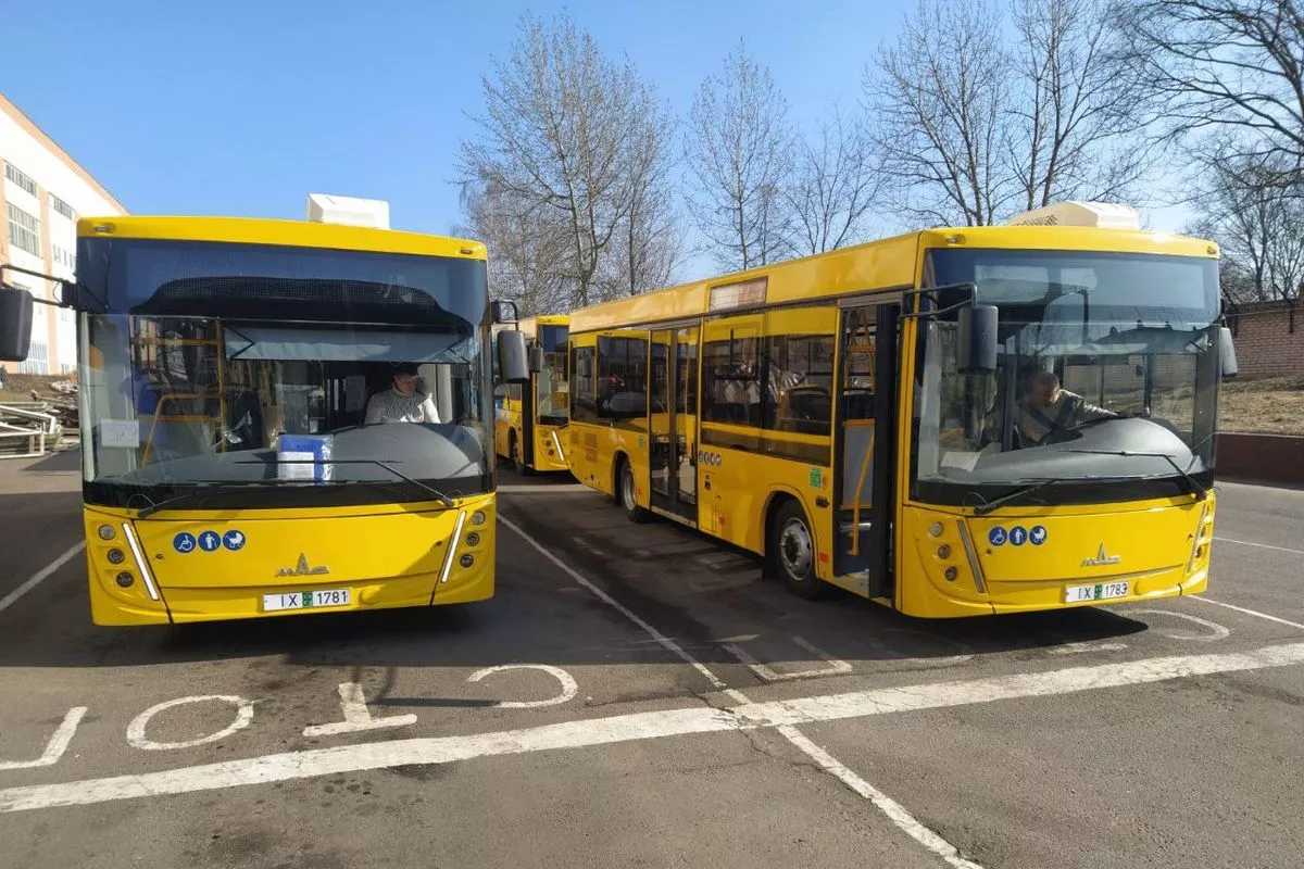 Аэродромный автобус маз 171. Маз 103 новый. Новый автобус маз. Новый автобус маз 303. Маз-303 автобус.