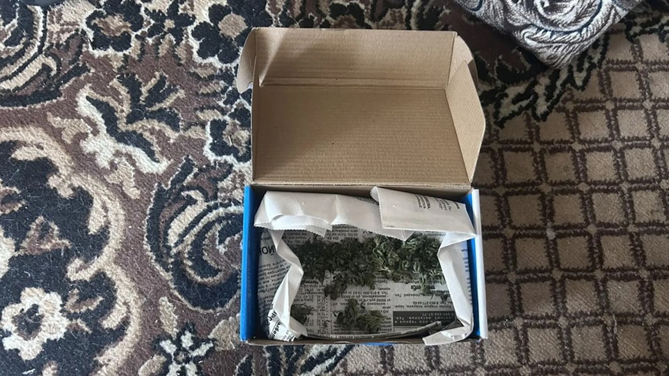 18 umvd kannabis