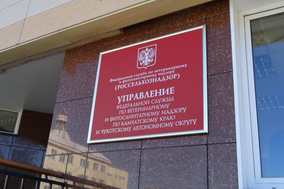 Сергей Павлов возглавил новое управление Россельхознадзора по Камчатскому краю и ЧАО. ИА «Камчатка» / Кирилл Маренин