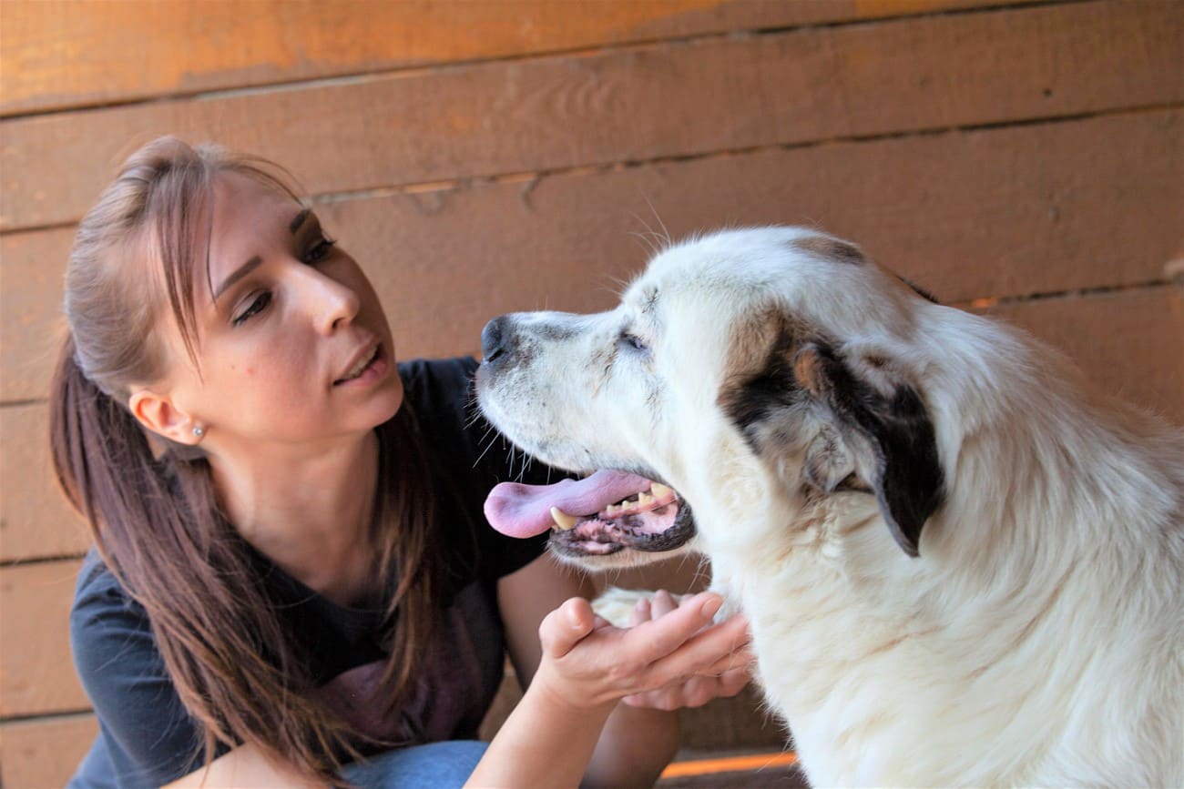 Проект «За живое» стал лауреатом премии «КонТЭКст»-2023