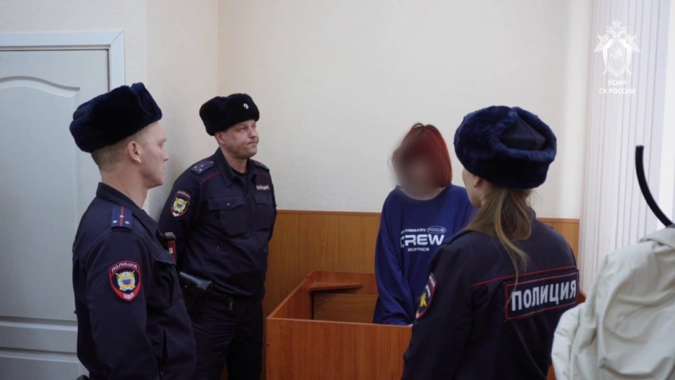 По делу о нападении в школе в Пермском крае задержали 16-летнюю псковичку