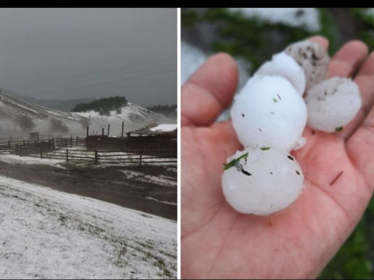 Определить что на фотографии