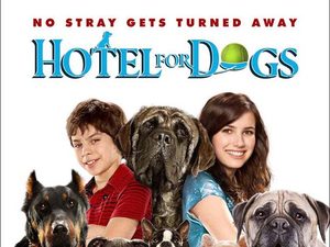 «Отель для собак»: Спецпоказ для детей и их собак