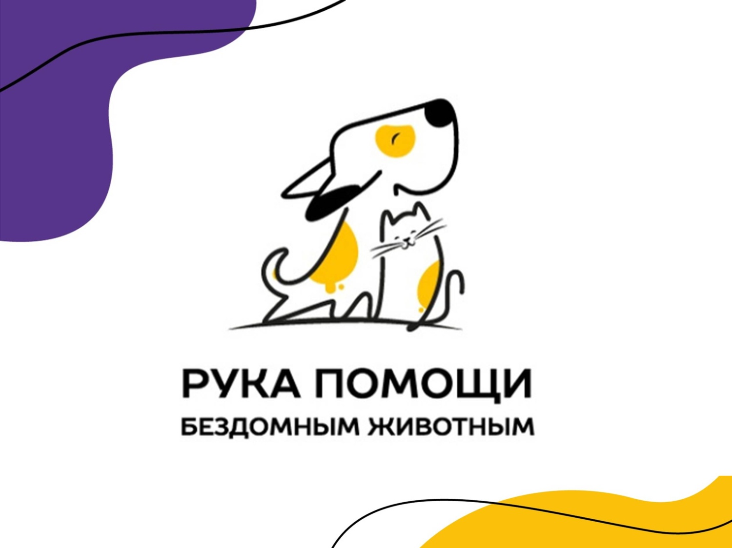 как найти волонтёра для помощи животным. рука помощи бездомным животным. мишустики. группы помощи бездомным животным. благотворительный фонд животных.