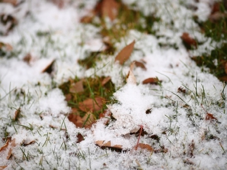 Первый снег прошел в северных районах Волгоградской области