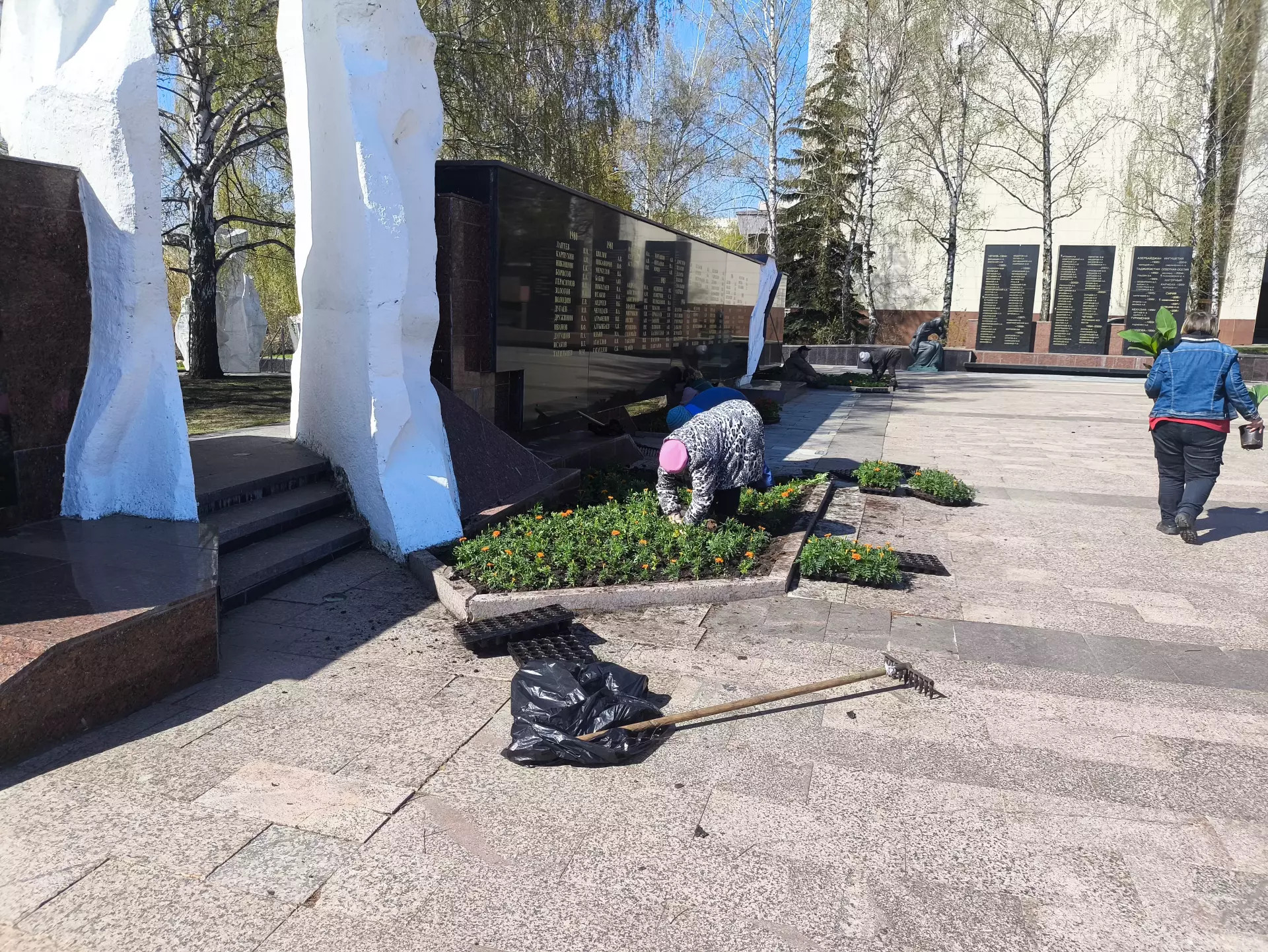 В Ульяновске за день высадили более 12 тысяч цветов