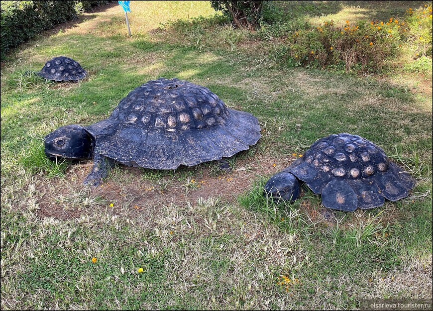 Аланья в ноябре. Пещера Дамлаташ. Красная башня. Судоверфь Терсане.