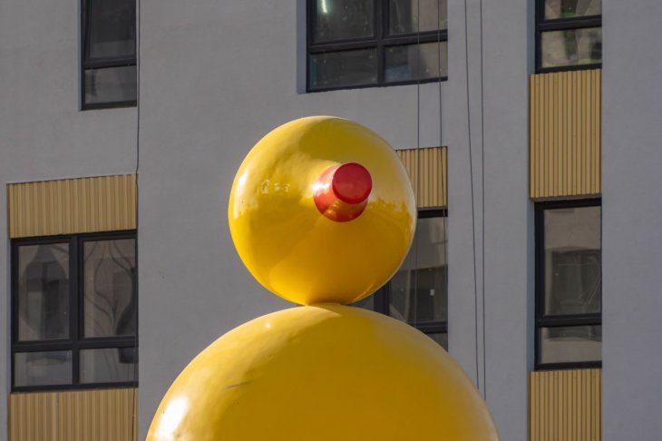 ​В Екатеринбурге появится арт-объект в виде комнаты с игрушками