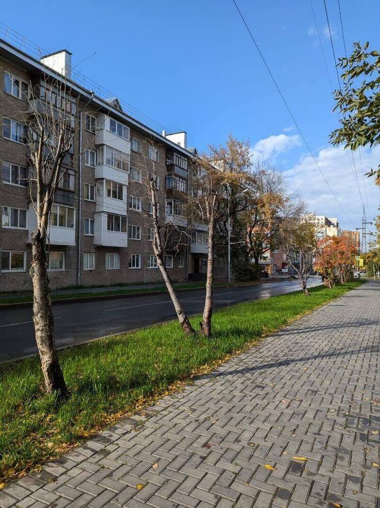 По требованию прокуратуры в Томске убрали опасные деревья на улице Олега Кошевого