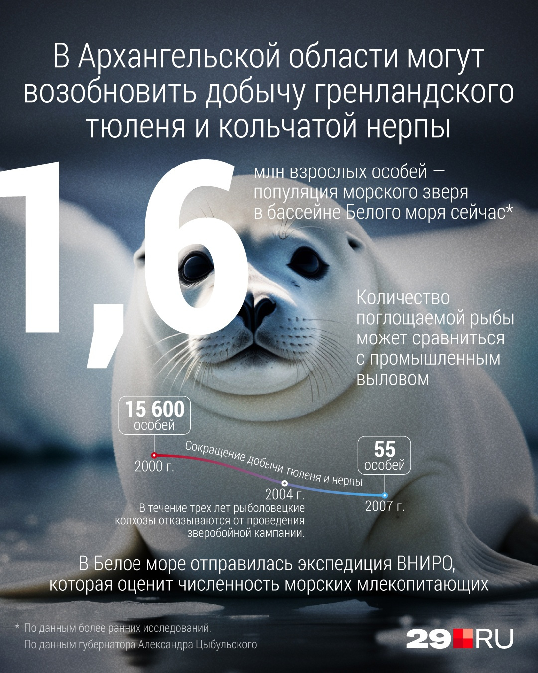 Такие данные о популяции тюленей озвучил Губернатор Поморья