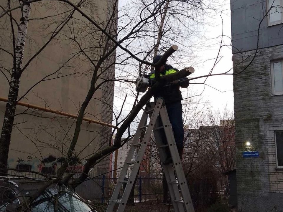 Из-за непогоды более 17 тысяч человек остались без света во Владимирской области остались