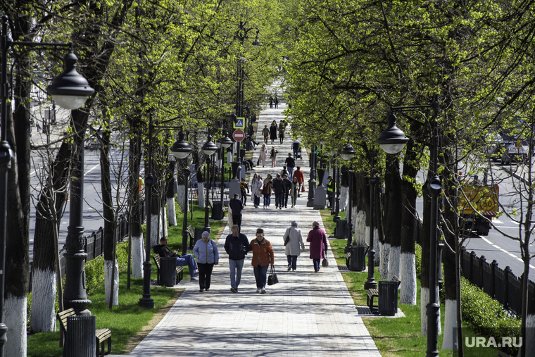 Народные гуляния День Победы. Пермь, листва, пешеходная аллея, компроспект, полиноз, свежая листва