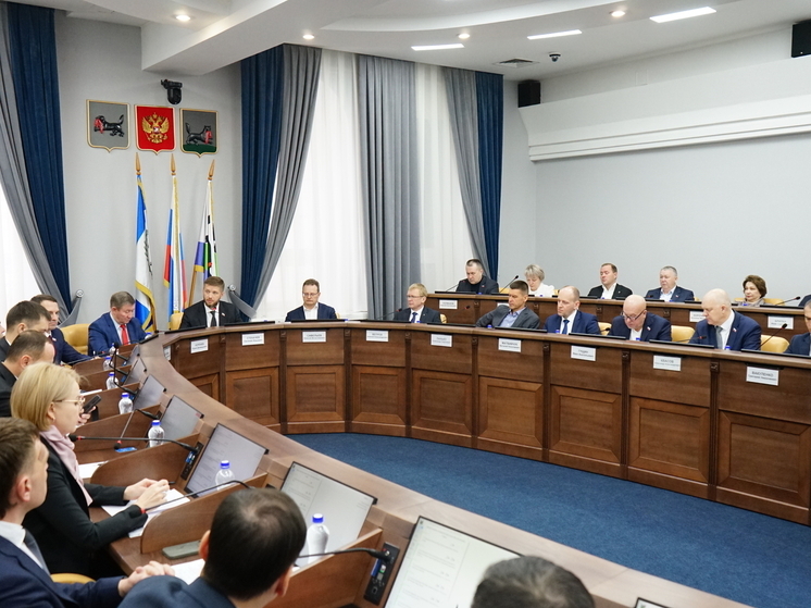 Дума Иркутска определила порядок выборов мэра