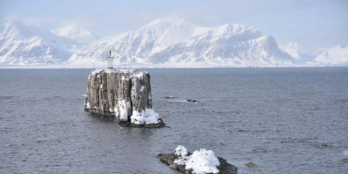 Рассылка «ПОРА в Арктику! GoArctic!» – выпуск от 22 декабря 2024 года