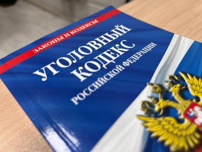 Глава СК Александр Бастрыкин потребовал возбудить дело в отношении подростков, держащих в страхе в Саратове поселок Агафоновка