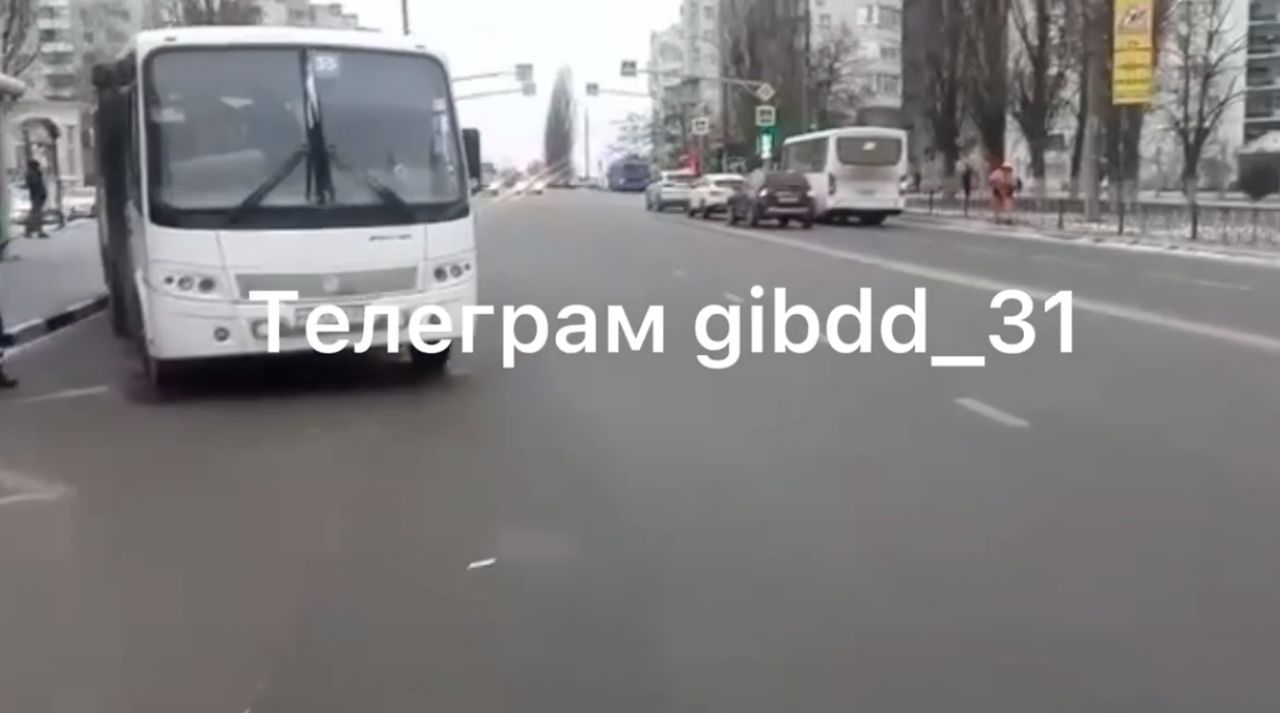 120 автобус белгород. Автобус сбил женщину Псков. Авария автобусов в Белгороде