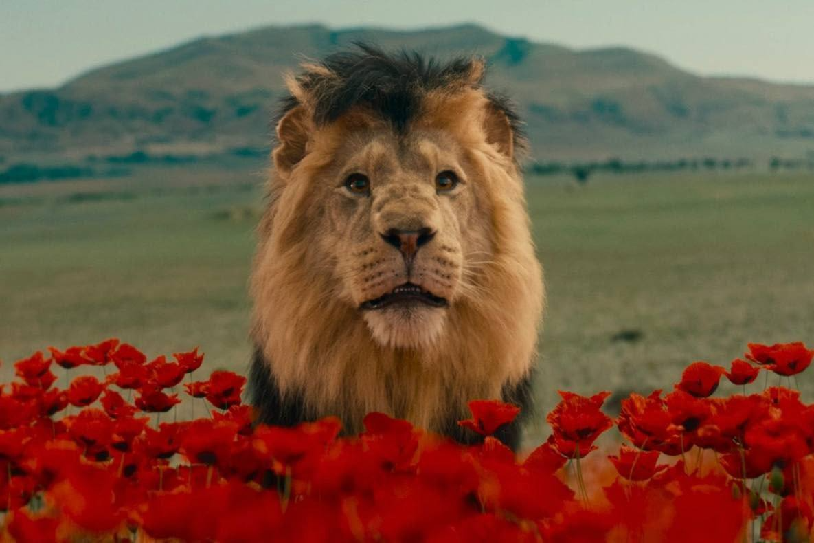 Фильм «Волшебник Изумрудного города. Дорога из желтого кирпича» показали на «Днях российского кино» в Таджикистане превью