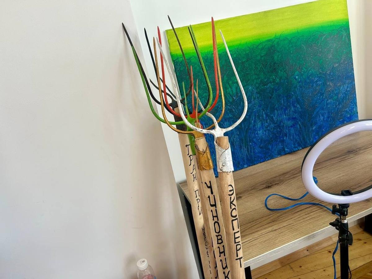 Фото: Дарья Дмитриева / MR7