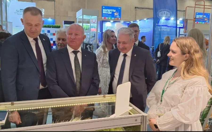 В Брянске подвели итоги этапа Кубка России по шахматам