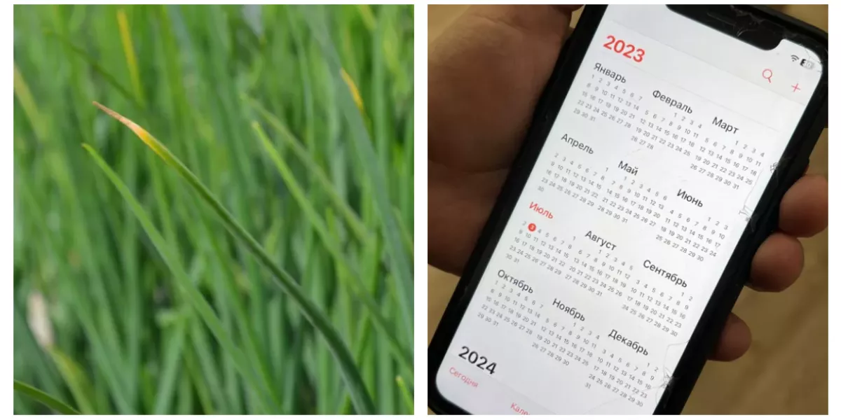 Дефолт 1998. День 17 августа праздники. Календарь праздников. Выходные и праздничные дни в 2023. Пособие 10000 рублей на ребенка.