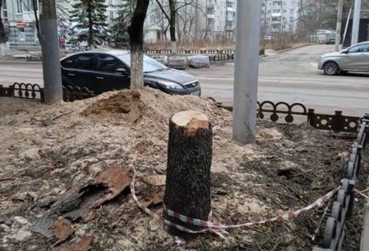 Эта картинка говорит сама за себя.