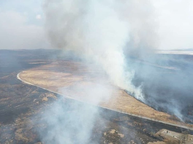 Огнеборцы Приморья успешно потушили восемь природных пожаров