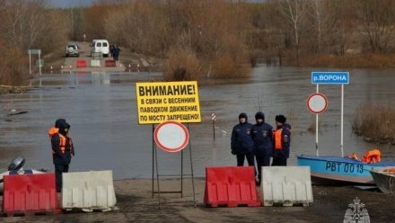 Воронежские спасатели назвали зоны возможного затопления при половодье