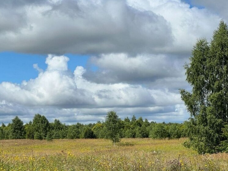 Калужская область возвращает земли в сельхозоборот