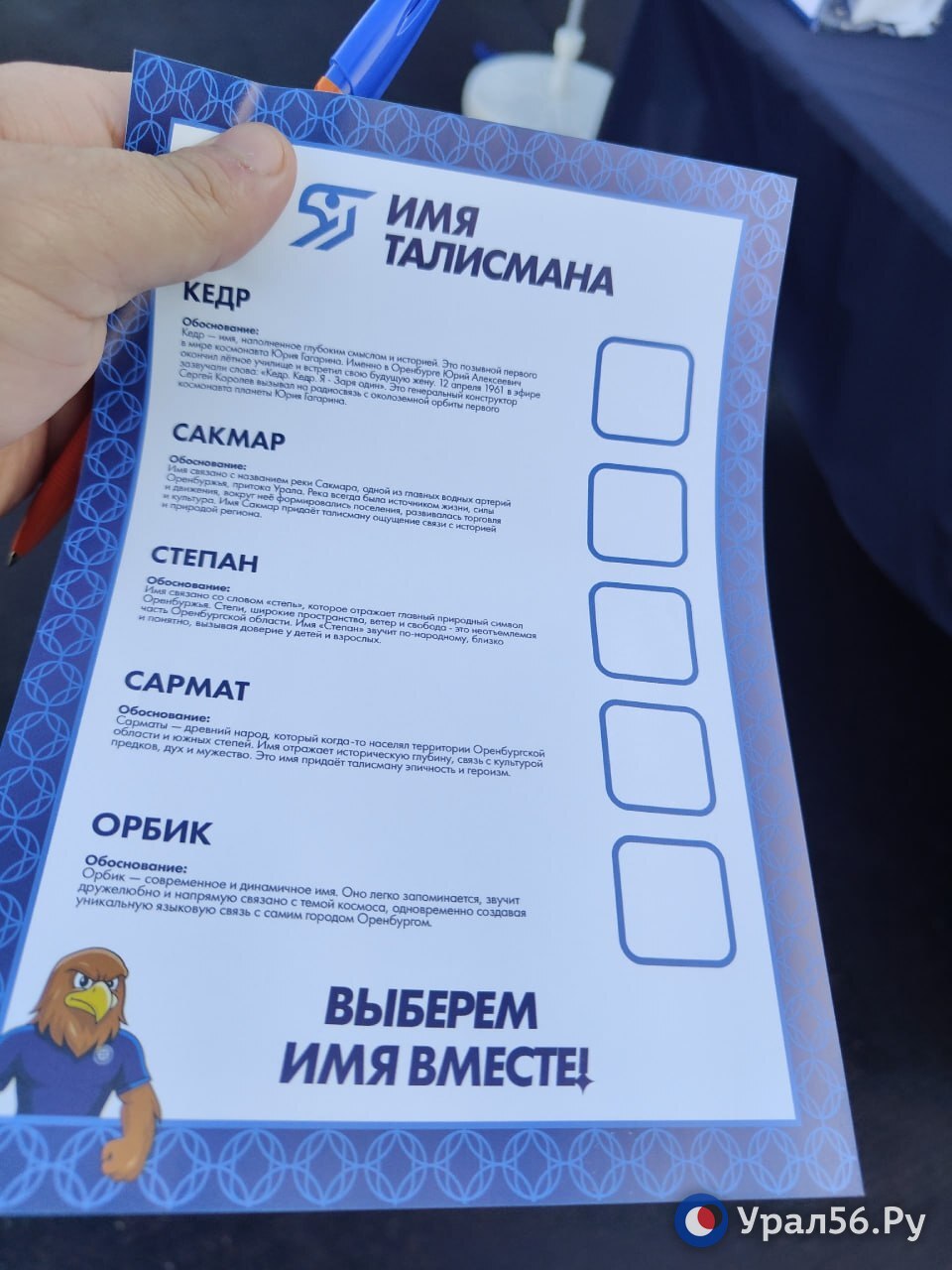 Сакмар или Сармат? Сегодня новый талисман ФК «Оренбург» - степной орел - получит имя