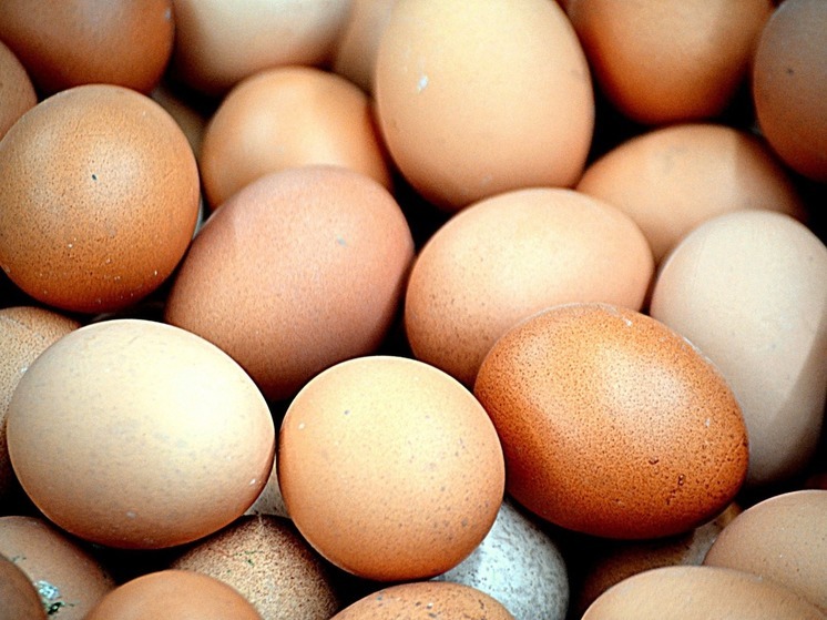 Глава калининградского Союза промышленников назвал способы снижения цен на яйца