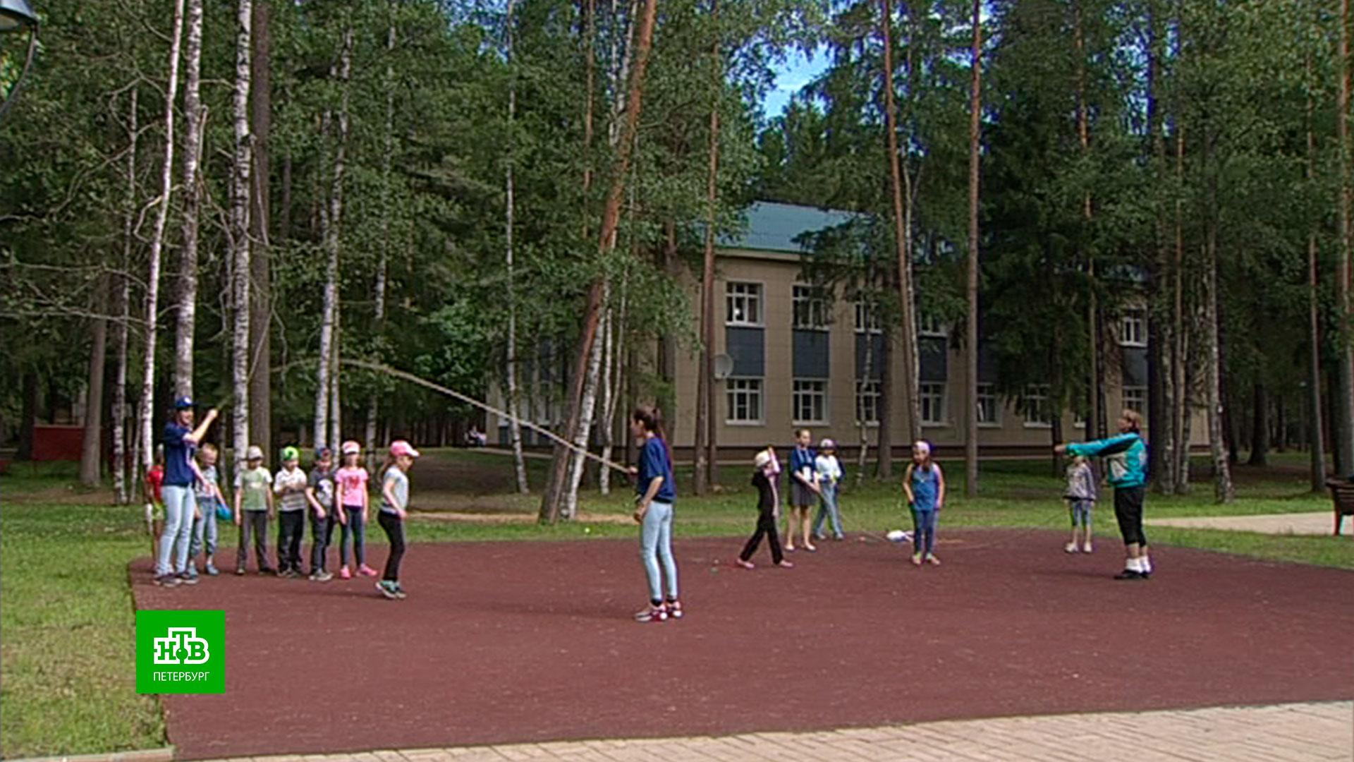 Детский летний лагерь в Ленинградской области