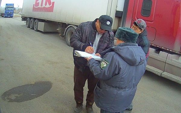 За неделю в пункте пропуска на границе с Монголией проконтролировано 275 тонн животноводческой продукции
