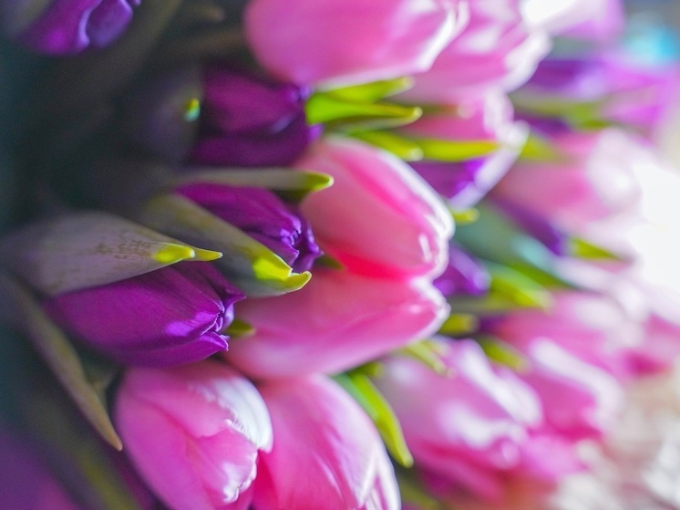 В Алексине установили 20 нелегальных цветочных продавцов