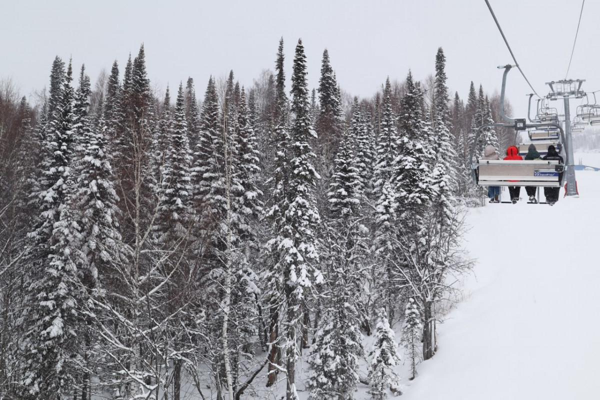 белокуриха санаторий 2022 зимой. новогодний домик в лесу. турбаза рускеала зима. новый год 2023 где отдохнуть. елки хаус архыз.