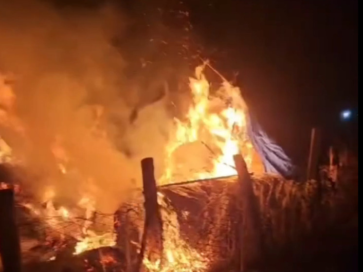 На Алтае огонь уничтожил сено на площади 250 квадратных метров