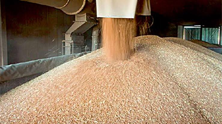 Турция с 21 июня по 15 октября ограничила импорт пшеницы для поддержки своих фермеров