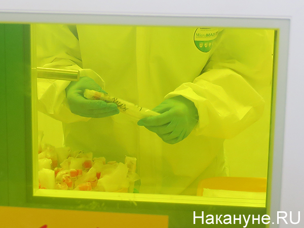 Фото: Накануне.RU
