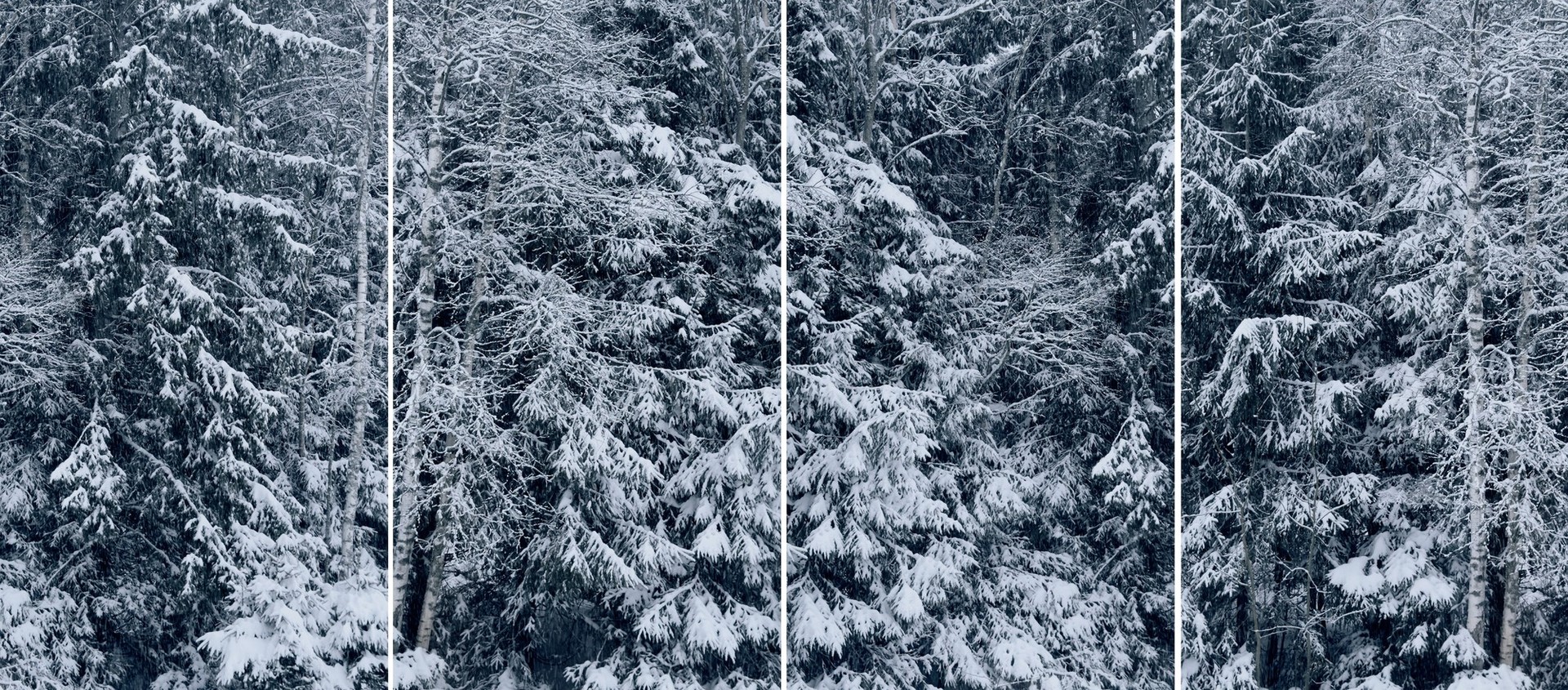 Свидетельства игры света и тени представят в РОСФОТО