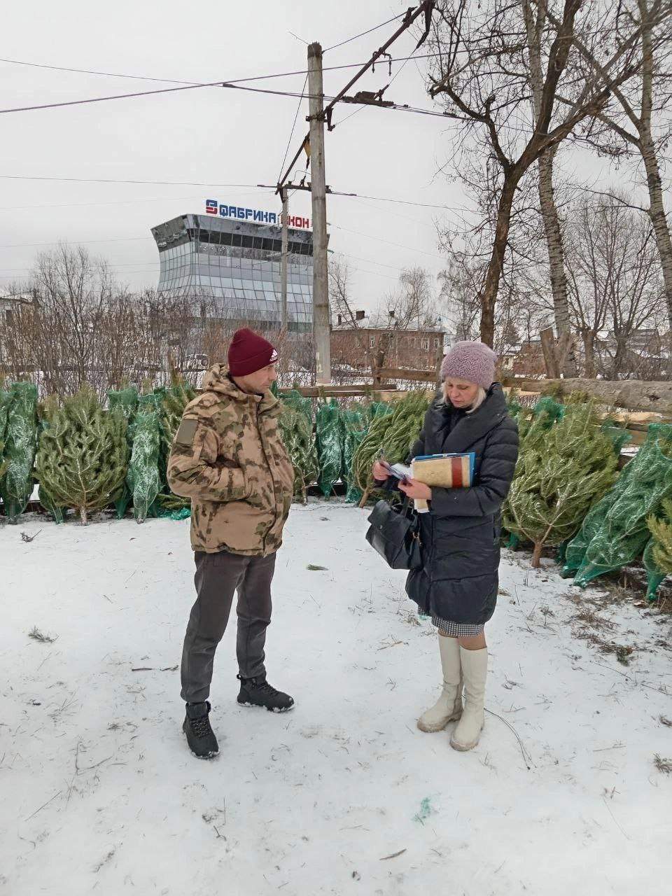 В Курске завели 7 дел за незаконную торговлю елками