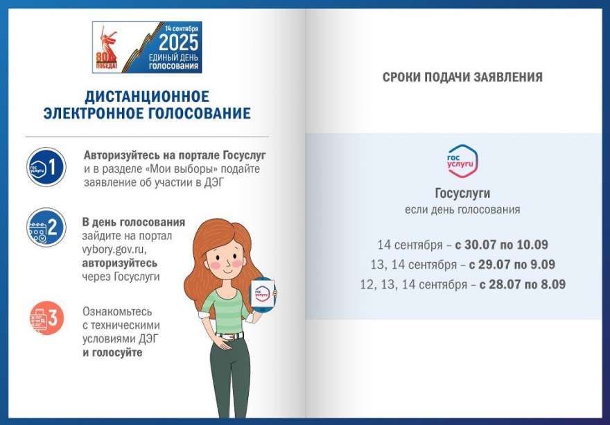На предстоящих выборах жители Саткинского округа смогут проголосовать дистанционно