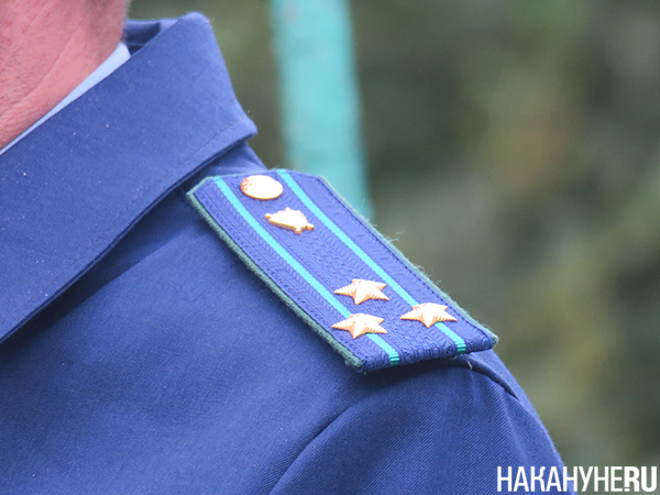 Фото: Накануне.RU