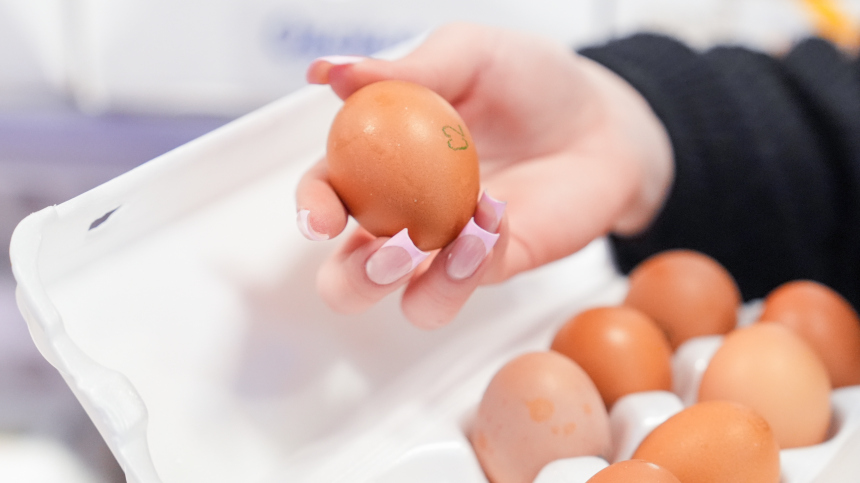 В чем разница между белыми и коричневыми яйцами