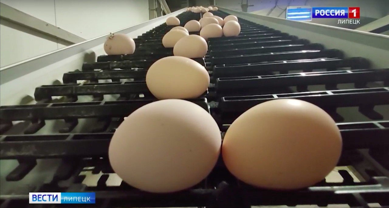 Липецкий ФАС напомнил о запрете необоснованного роста цен на яйца перед Пасхой