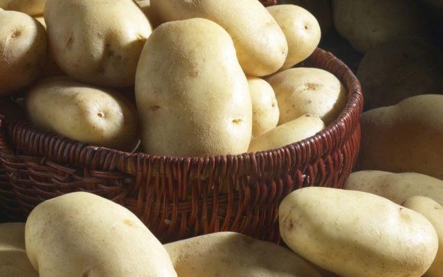Лучшие сорта картофеля для Южного и Среднего Урала: семенного, новые, отзывы