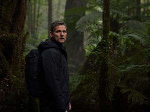 Эрик Бана ищет женщину в лесу в трейлере детективного триллера «Город тайн: Исчезнувшая»