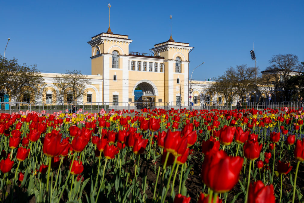 Ставрополь лето. Ставрополь красивые фото. Красивые места в Ставрополе. Туристы в Ставрополе.